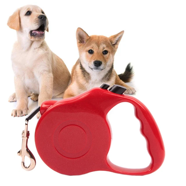 3 mètres de laisse de chien automatiser des chiens rétractables à pied de la