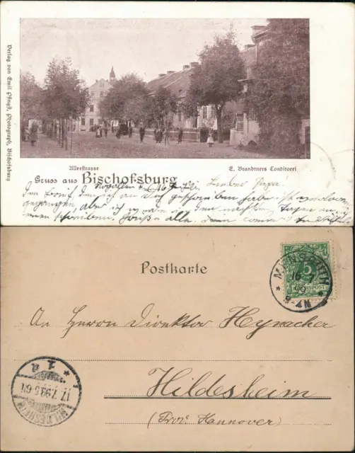 Bischofsburg (Ostpreußen) Biskupiec Alleestraße, Brandtners Conditorei 1899