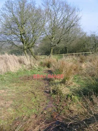 Photo  Source Of Birmingham's River Rea. This Is The Source Of The River Rea On