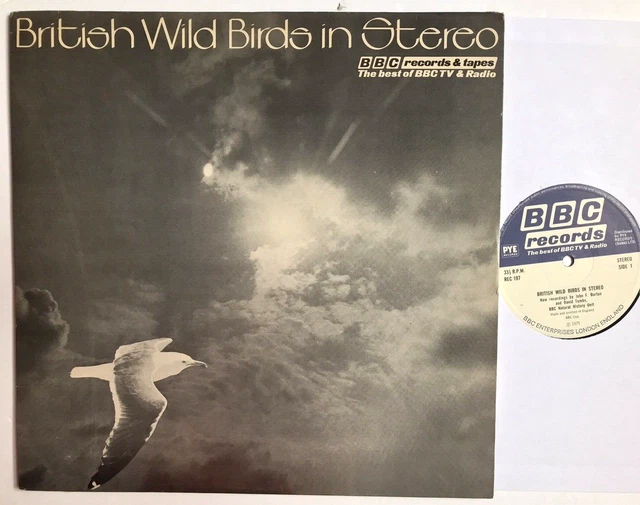 BRITISH WILD BIRDS IN STEREO BBC Records 1975 Field Recording Vinyl £