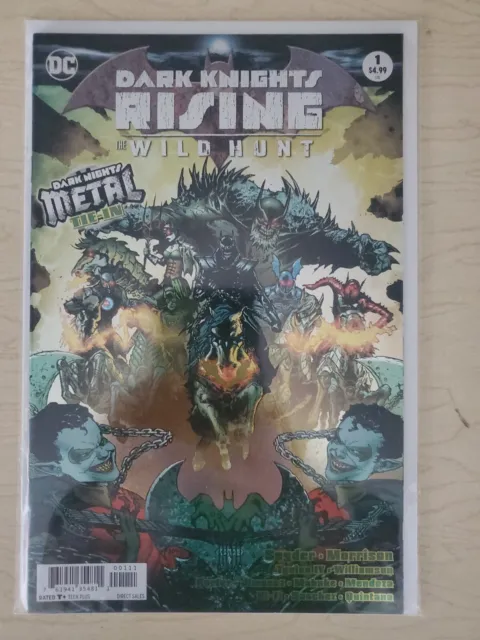 Dark Knights Rising The Wild Hunt # 1 Foil Cover 2018 Dc Comics Eb1