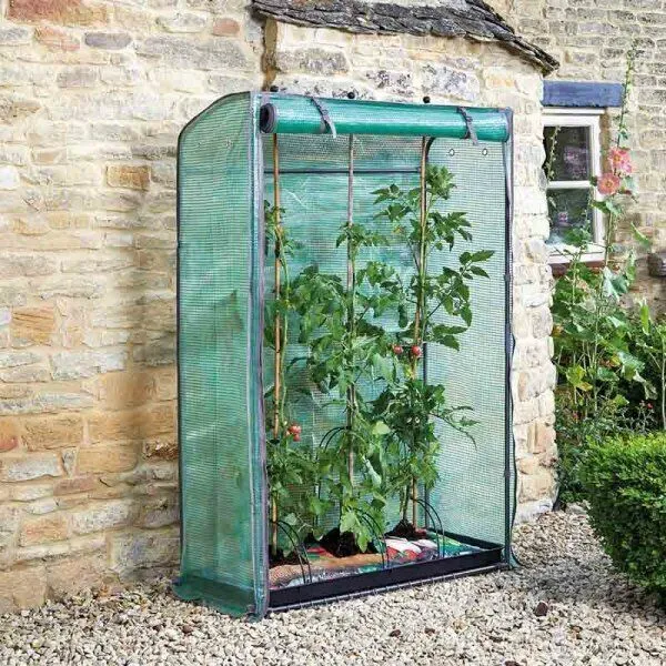 Outdoor Garden Tomato Greenhouse Plant Grow Green House Reinforced Frame & Cover
