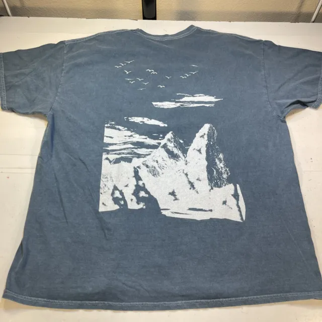 URBAN OUTFITTERS UO Explore Oversized Dad TEE T SHIRT Sz UNI SEX L / XL Blue oop