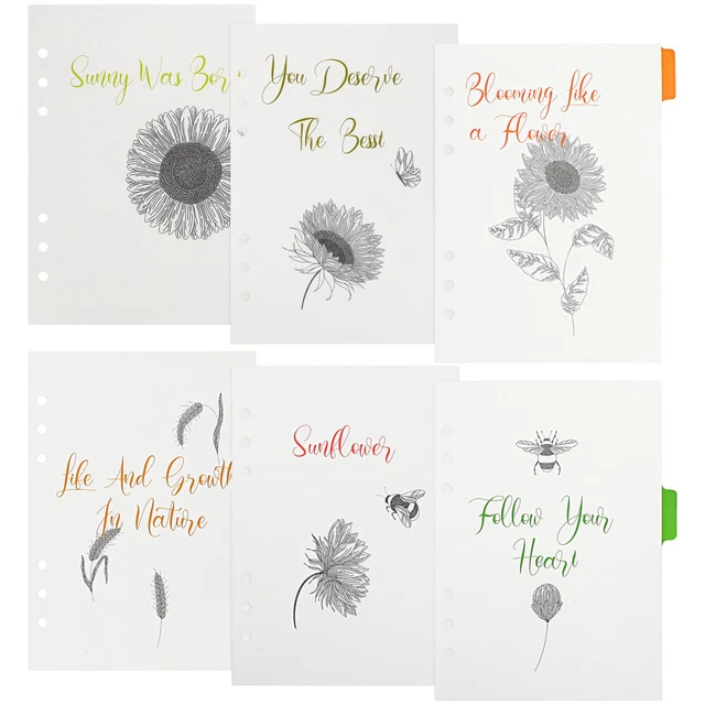 6 uds Novedad Carpeta de PVC Separador de Bloques de Notas Separador de Carpeta para Carpeta Carpeta Decoración