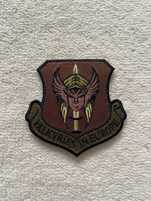 USAF RAF LAKENHEATH 495th Valkyries In Europe OCP shield patch w/hook ...