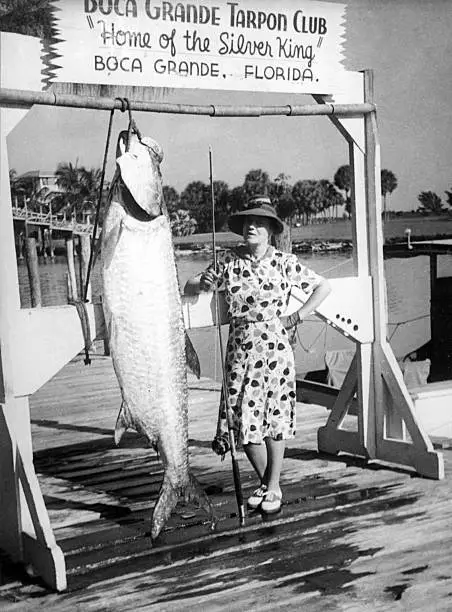 Boca Grande Tarpon Club 1930 Old Fishing Photo