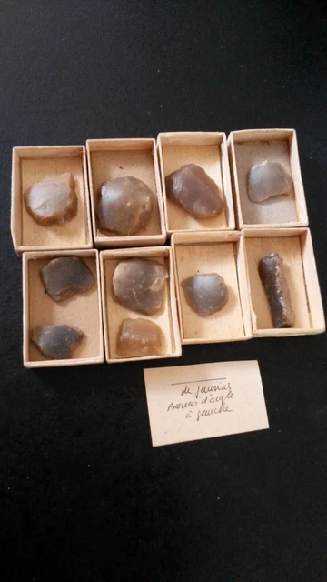 Lotto Di 10 Selce Taglie Grotta Di Jaurias Magdalenien Francia Collezione K8