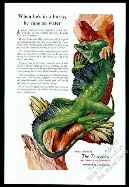 1952 basilisk lizard art The Travelers Insurance vintage print ad