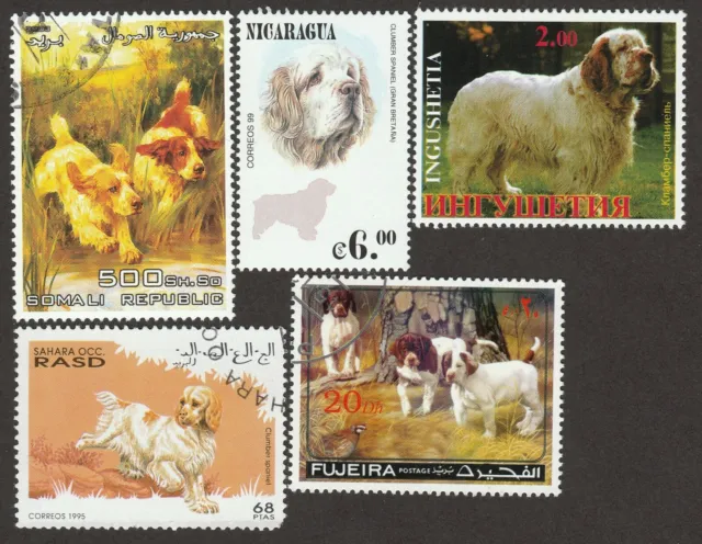 CLUMBER SPANIEL ** Int'l Dog Postage Stamp  Art Collection **Great Gift Idea**