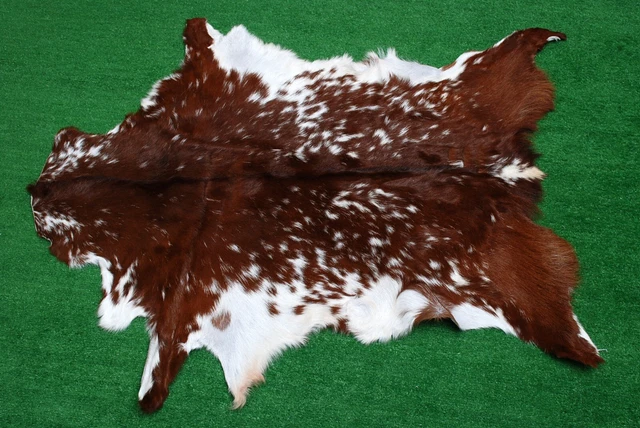 Nueva alfombra piel de cabra piel de pelo en área talla 36""x24"" piel de cabra animal A-2529