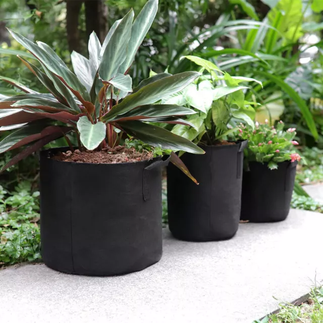 Pflanzsack Pflanzbeutel mit Henkeln Blumentopf Pflanzentasche in Schwarz