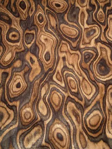 Nogal Madera de Raíz Chapa de Madera Textura Saraifo Veta 250x31-32cm