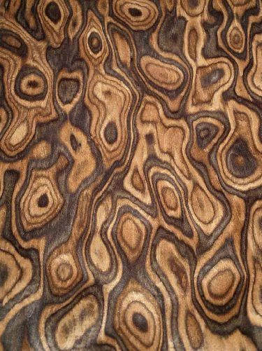 Nogal Madera de Raíz Chapa de Madera Textura Saraifo Veta 250x31-32cm