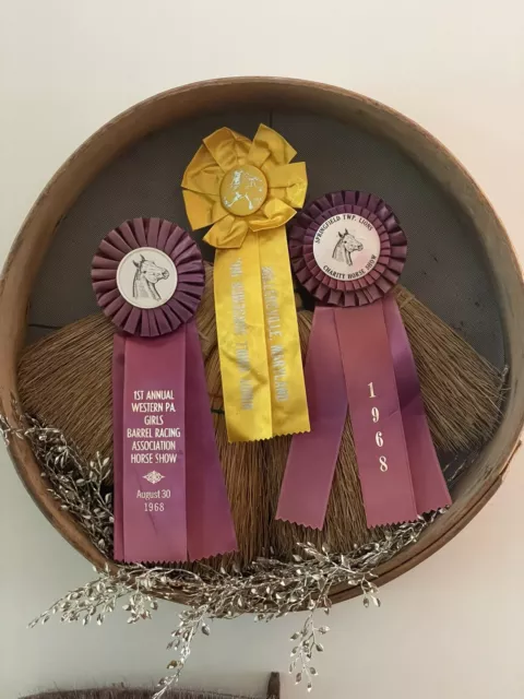 Lot 3 - Vintage 1968 Horse Show Maryland Ribbons Purple Yellow