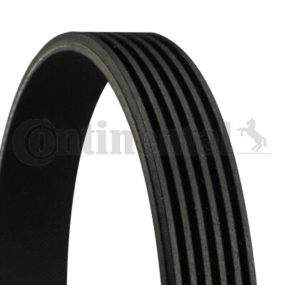 Courroie Trapézoïdale CONTINENTAL CTAM 4PK860 - Pour BMW X5, X3, Série 5 - Neuf