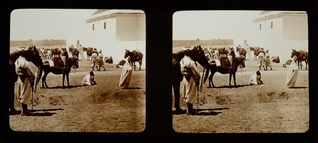 stéréo view, Maroc, Rabat, Touarga, vue stéréoscopique, plaque verre 6x13 cm