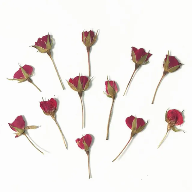 12Pcs/Lot Real Dried Rose Flower DIY Home Ornament UV Resin Mold Jewelry Ma / Sp