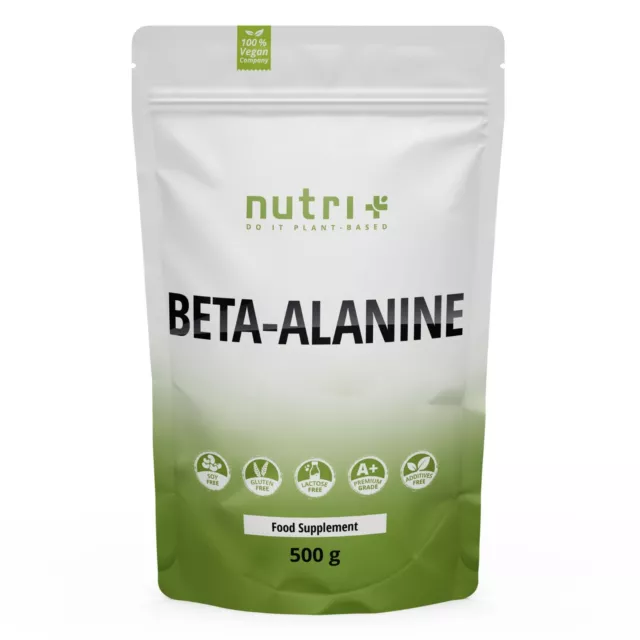 Beta Alanin Pulver - hochdosiert vegan und rein - Beta Alanine 500 g Pulver