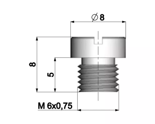 Vergaserhauptdüse POLINI 6mm für Dellorto Vergaser - 170