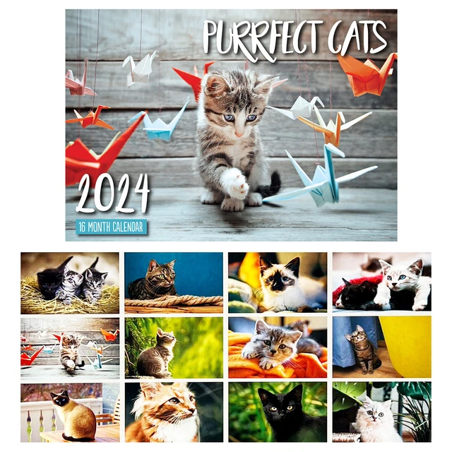 PERFECT CATS 2024 Rectangle Animal Wall Calendar 16 Months Hanging