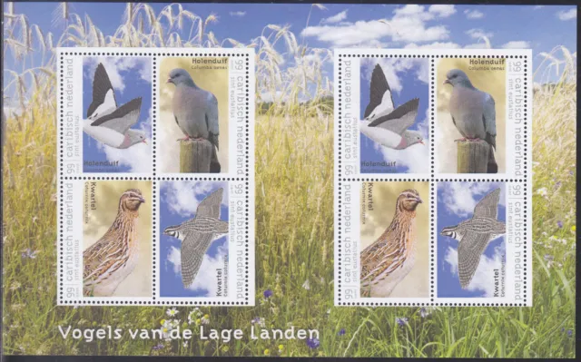 Caribbean Netherlands Issue 2018 (MS 11) Birds