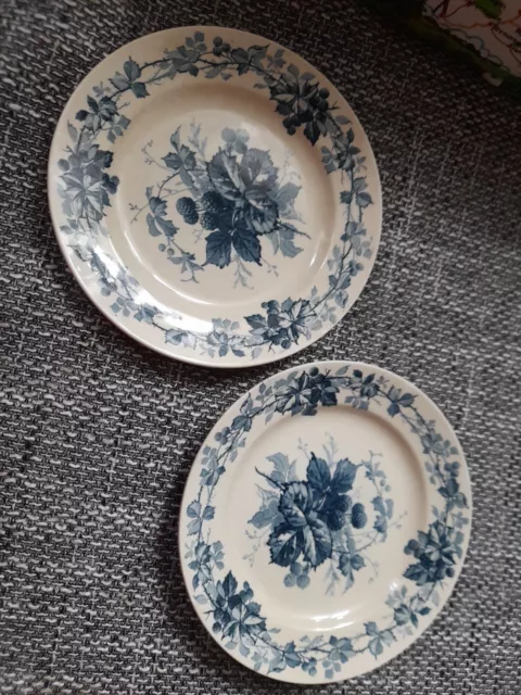 Villeroy Boch 2x Teller Steingut Porzellan Brombeere Dresden Jugendstil