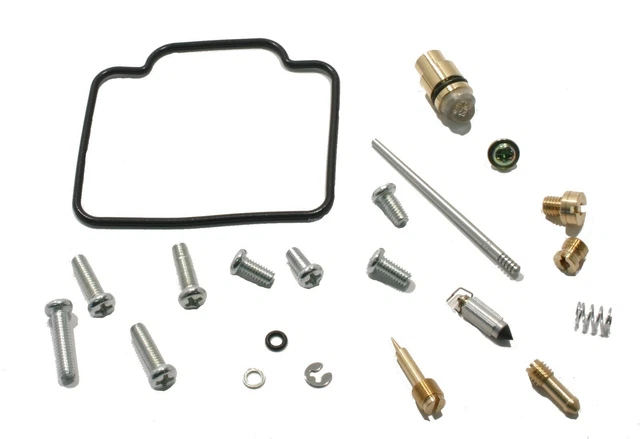 For Arctic Cat 300 Carburetor Repair Rebuild Kit Cat 300 Carb - Foto 13