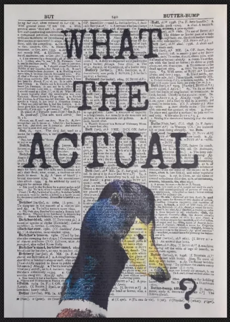 Duck Quote Vintage Dictionary Page Print Wall Art Picture Animal Pun Funny Bird