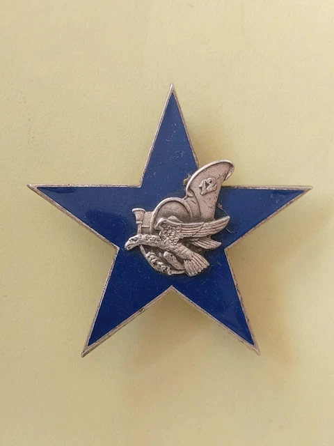 2 insignes brevet de chasseur Alpin - Collection
