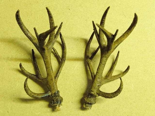 2 Bois De Cerf Naturels 78mm - Pour Coucou Forêt-Noire Ou Tête De Cerf - Kd89