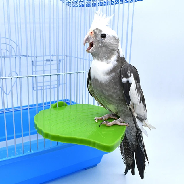 Parrot Bird Perch Stand Leaf Shape Bird Cage Platform Hanging Budgie Perch Stand
