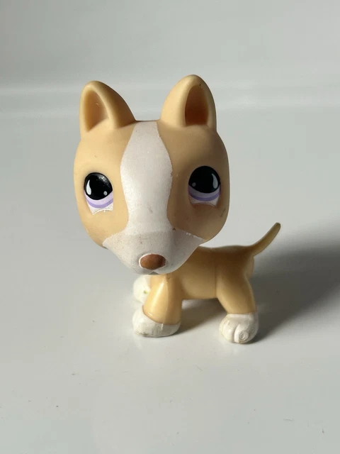 LITTLEST PETSHOP LPS Chien dog Berger Allemand 61 HASBRO Authentique EUR 6,00 - FR LITTLEST PETSHOP LPS Chien dog Berger Allemand 61 HASBRO Authentique EUR 6,00 - FR