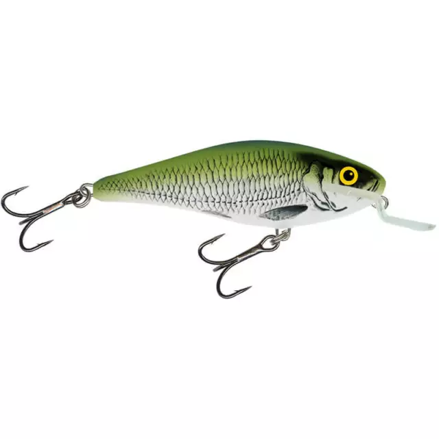 Salmo Executor Wobbler Shallow Coureur Olive Bleak Leurres Appât Brochet Perche