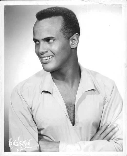 Portrait of Harry Belafonte - Vintage Photograph 672187