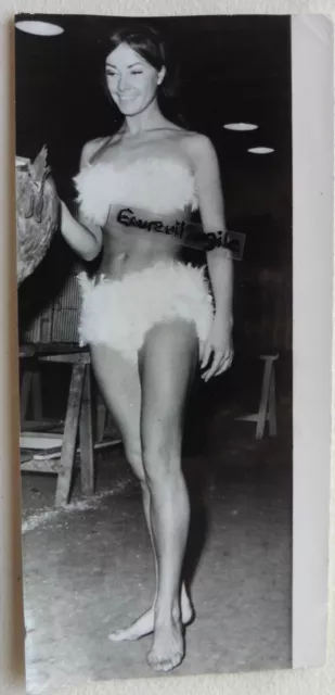 PHOTO PRESSE 1966 Jane ILES bikini en plumes de dinde mannequin T956