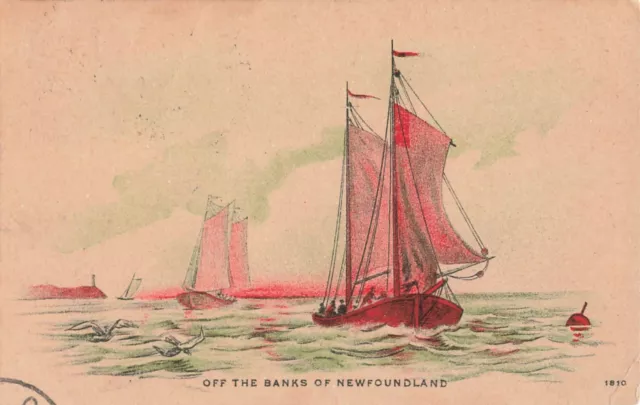 Postcard 1910 Off The Banks of Newfoundland VTG VPC02.