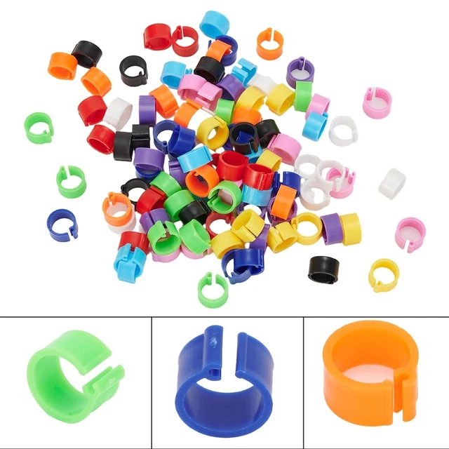 100 clip nastri gamba pulcino per semplice identificazione e tracciamento del pollame