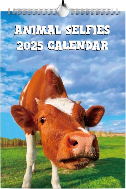 World's Shittest Calendar 2025 A4, Funny Calendar, Banter Cards - View #4