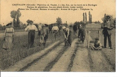 (S-38199) France - 33 - Castillon Sur Dordogne Cpa