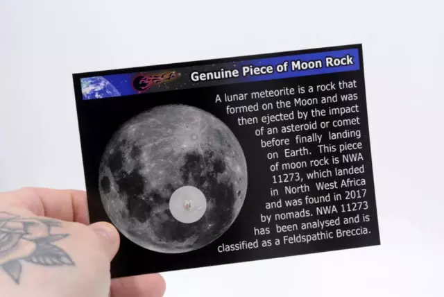 **Genuine Piece of Moon Rock** NWA 11273 Lunar Meteorite fragment on Infocard