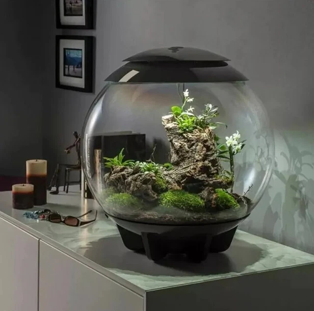 Biorb Air 60L Grey Terrarium Tank Led Lighting Heated Tropical Plants Reptile