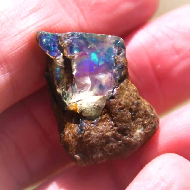 Opale de Feu Brute Multicolore d'Ethiopie de 21,275 ct