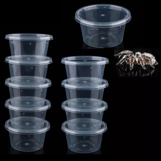 10x Small Breeding Boxes Terrarium Spiders Reptile Spider Box Feeding Round