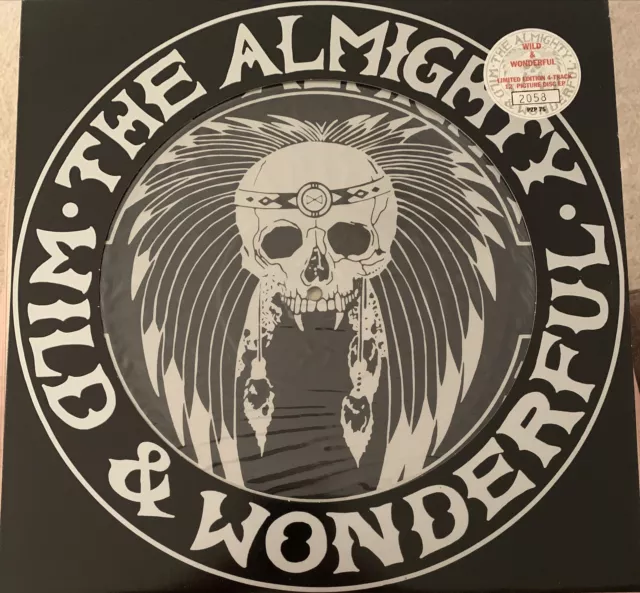 THE ALMIGHTY, WILD & WONDERFUL 4 TRACK 12” PICTURE DISC, Mint Vinyl Free U.K. PP