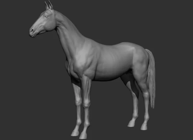 Breyer size resin Traditional Model Horse Akhal teke - White  Ready To Paint