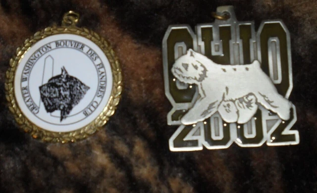 Lot Of 2 American Bouvier Des Flandres Show Dog Win Medal Washington Club Ohio