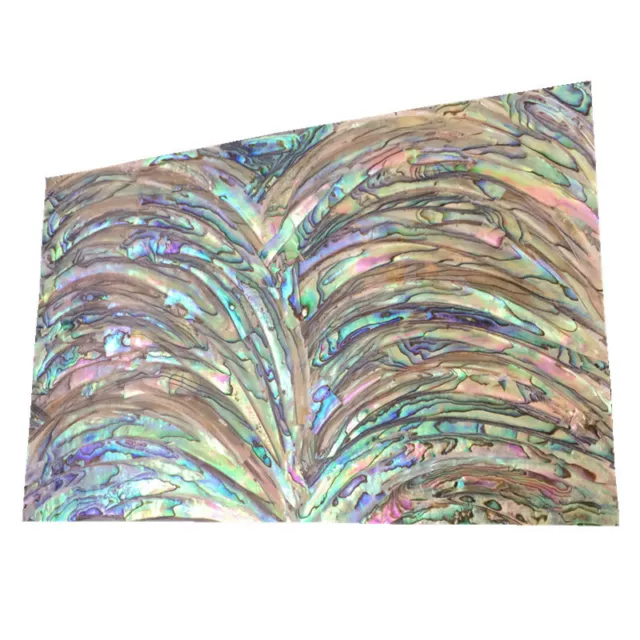 1x Abalone Shell Sheet Veneer Inlay 9 1/2"x5 1/2"x1/64" (240x140x0.4mm) Luthier