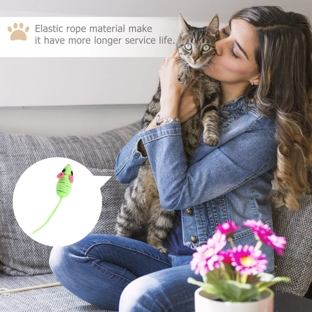 12 Pcs Exercise Cat Toy Cat Mice Toys Indoor Cats Catnip Toy Rc Toy Double Line 11