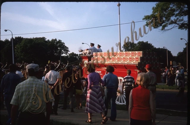Budweiser Beer Wagon Clydesdales Dog Horses Parade 1970s 35mm Slide Kodachrome