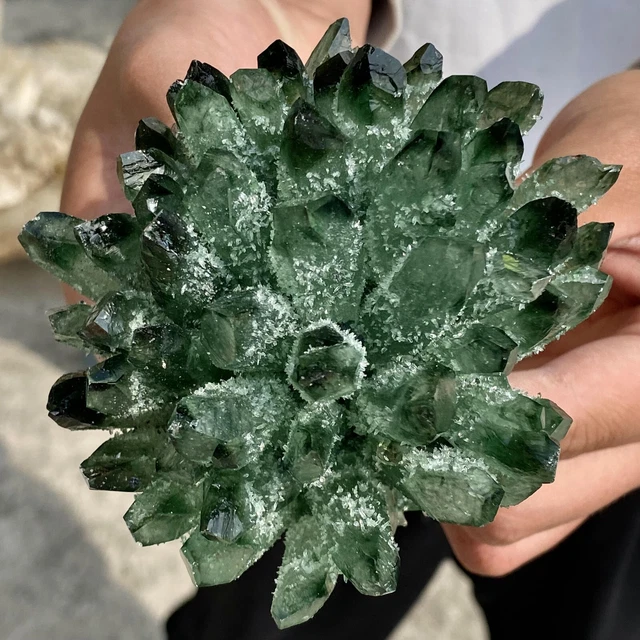 1.30LB New Find Green Phantom Quartz Crystal Cluster Mineral Specimen Healing 3